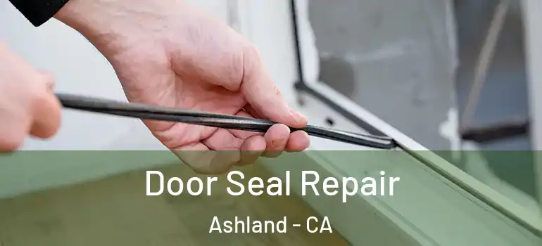  Door Seal Repair Ashland - CA