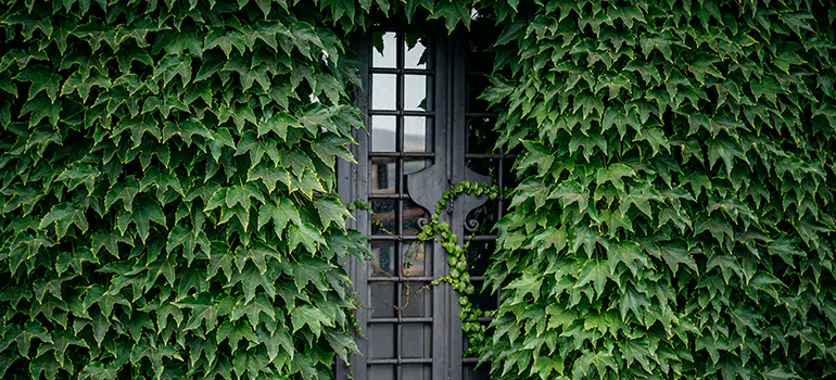 Garden Gate Repair in Ashland, CA