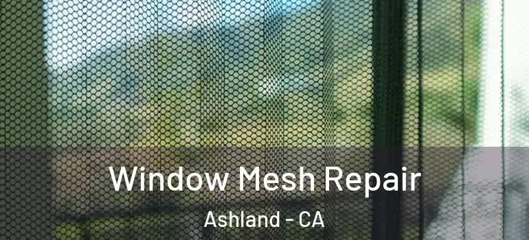 Window Mesh Repair Ashland - CA